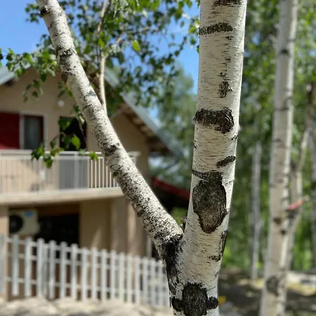 Ferienhaus Divcibarka