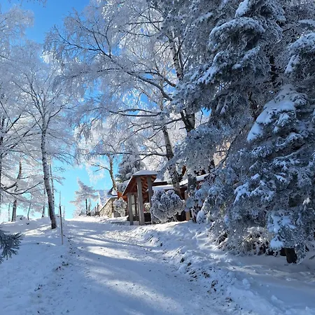 Ferienhaus Divcibarka