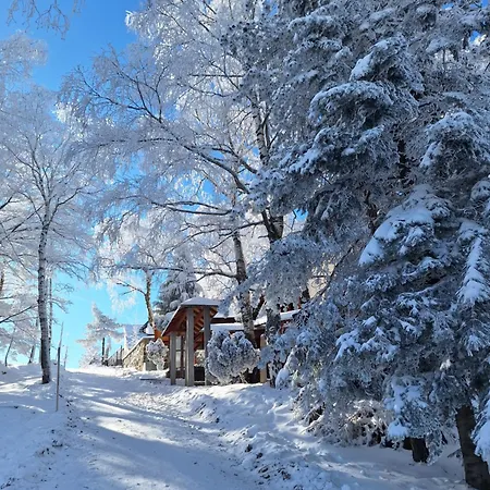 Ferienhaus Divcibarka Divčibare