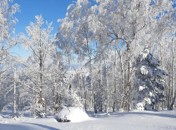 Divcibarka Σπίτι διακοπών