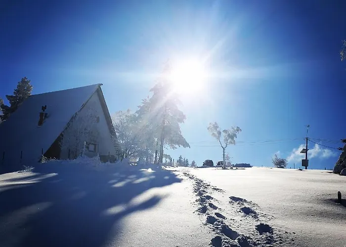 Divcibarka Σπίτι διακοπών *