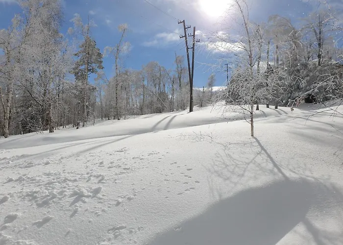 Σπίτι διακοπών Divcibarka