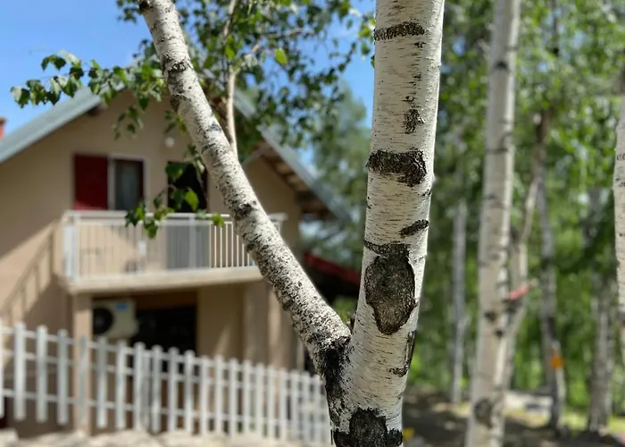 Σπίτι διακοπών Divcibarka