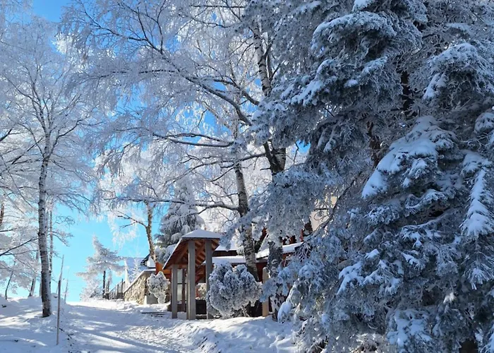 Σπίτι διακοπών Divcibarka Divčibare